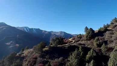 高海拔山顶远眺雪山原始森林航拍4K视频的预览图